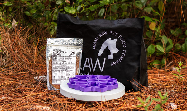 Raw Chicken & Turkey Meal Blend for Cats & Dogs — Prey Model Raw | Raw Instincts Florida