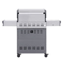 Eminence 405 | Chic Clearview® Smart Stainless Gas Grill
