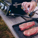 G22 | Stainless Tabletop Propane Gas Grill