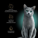 SHEBA PERFECT PORTIONS Cuts in Gravy Roasted Chicken Entrée Cat Food Twin Pack