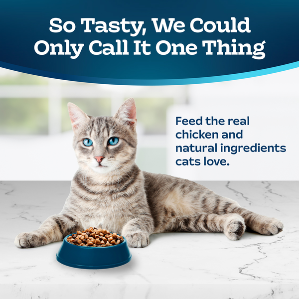 BLUE Wilderness Food for Cats, Natural, Chicken & Brown Rice Recipe, Healthy Living, Adult