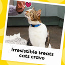 TEMPTATIONS Classic Crunchy and Soft Cat Treats Savory Salmon Flavor