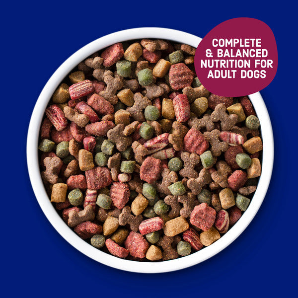 Kibbles 'n Bits Savory Bacon & Steak Flavor Dry Dog Food, 16 lb. Bag
