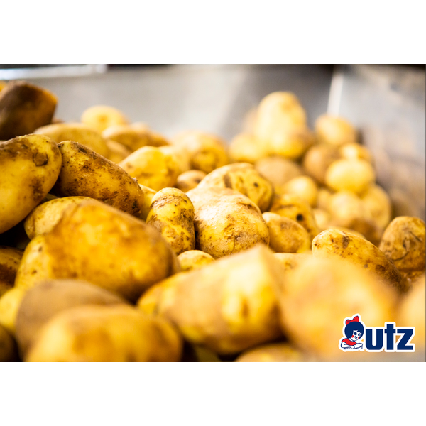 Utz Kettle Classics Dark Russets Potato Chips