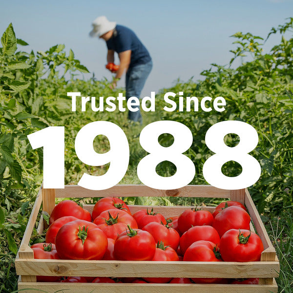 Hunt's Stewed Tomatoes No Salt Added