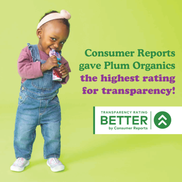 Plum Organics® Jammy Sammy® Blueberry & Oatmeal Bar