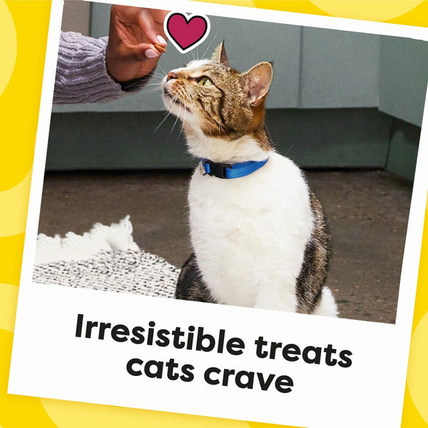 TEMPTATIONS Classic Crunchy and Soft Cat Treats Turkey Flavor