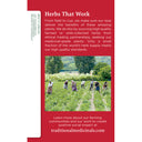 Traditional Medicinals Seasonal Teas Breathe Easy Naturally Caffeine Free Herbal Tea