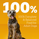 Pedigree Chopped Ground Dinner Beef, Bacon & Cheese Flavor Dog Food